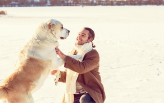 wellbeing training consultants